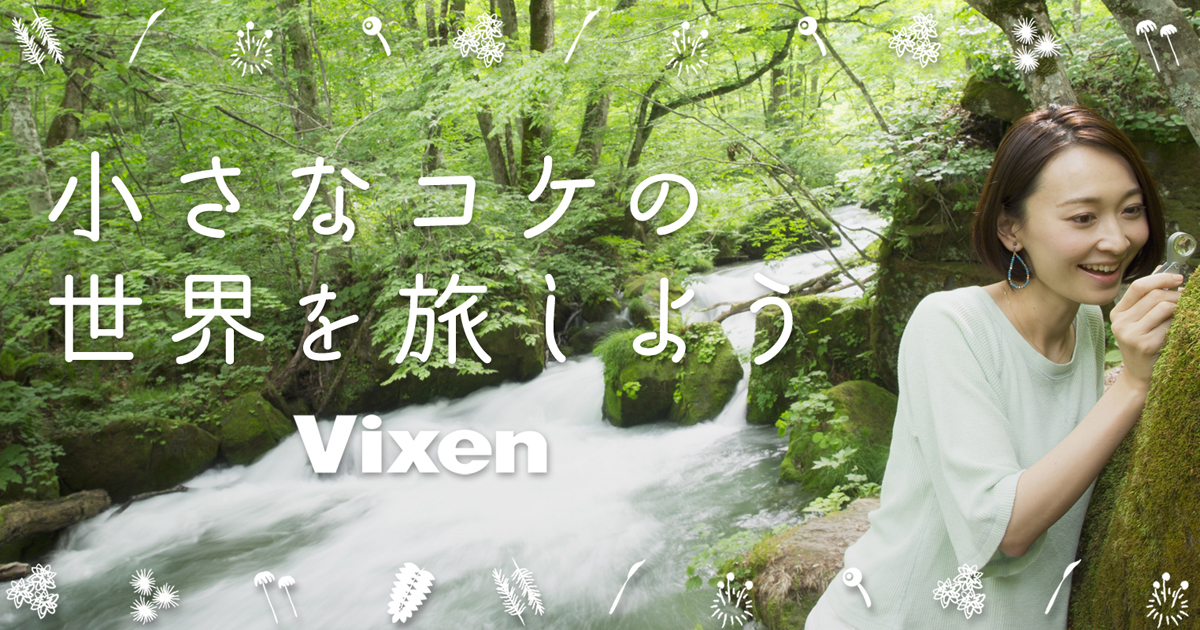 コケのくらし 小さなコケの世界を旅しよう コケ観察セット ビクセン Vixen