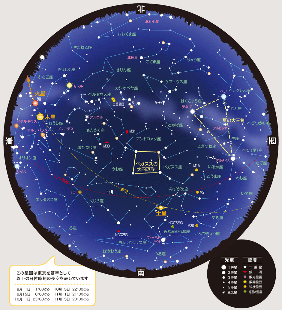 全天星図