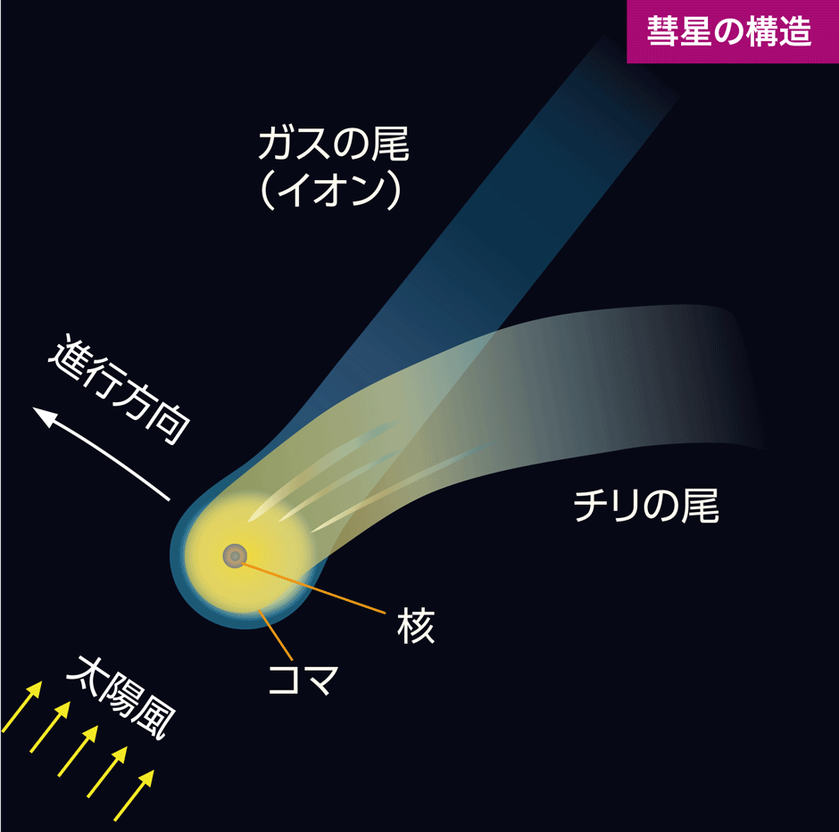 画像:彗星の構造