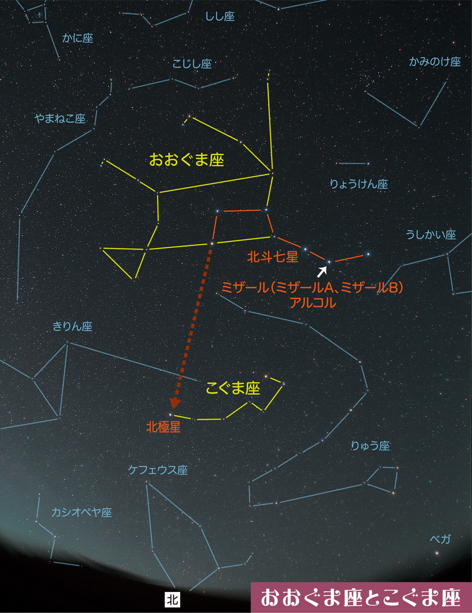 画像:おおぐま座とこぐま座