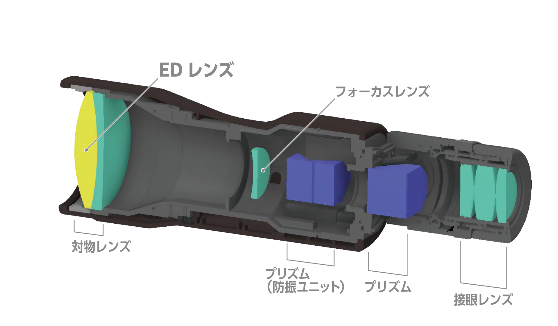 Vixen 双眼鏡 ATERA II ED H16×50WP（ブラックブラウン） | ビクセン Vixen